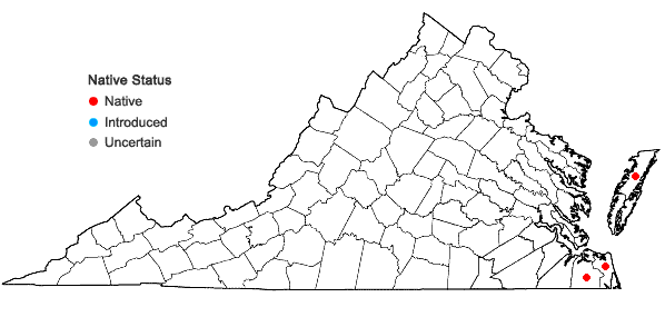 Locations ofCladium jamaicense Crantz in Virginia