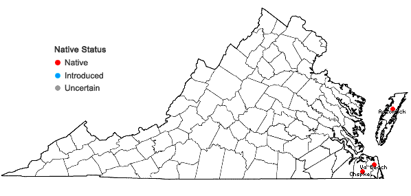 Locations ofCladium jamaicense Crantz in Virginia