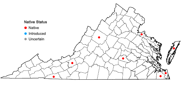 Locations ofCladium mariscoides (Muhl.) Torrey in Virginia