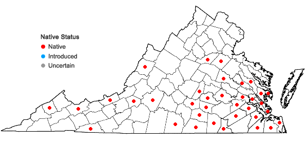 Locations ofClasmatodon parvulus (Hampe) Sull. in Virginia