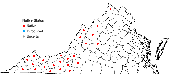 Locations ofClaytonia caroliniana Michx. in Virginia