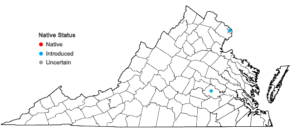 Locations ofClaytonia rubra (T.J. Howell) Tidestrom ssp. rubra in Virginia
