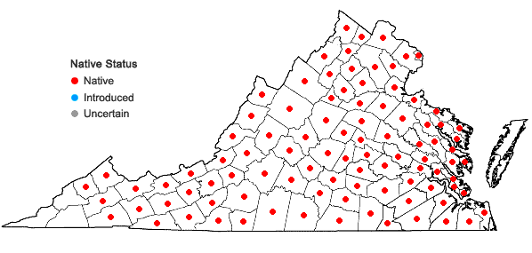 Locations ofClaytonia virginica L. in Virginia