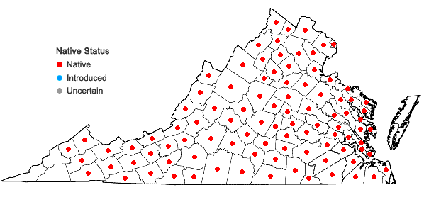 Locations ofClaytonia virginica L. var. virginica in Virginia