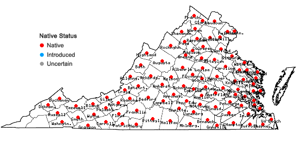 Locations ofClaytonia virginica L. var. virginiana in Virginia