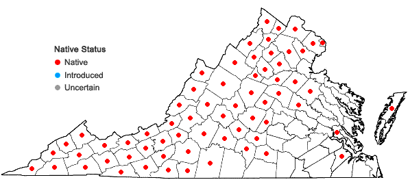 Locations ofClaytosmunda claytoniana (L.) Metzgar & Rouhan in Virginia