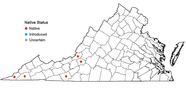 Locations ofCleistesiopsis bifaria (Fernald) Pansarin & F. Barros in Virginia