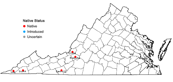 Locations ofCleistesiopsis bifaria (Fernald) Pansarin & F. Barros in Virginia