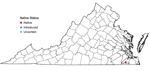 Locations ofCleistesiopsis oricamporum P.M. Brown in Virginia