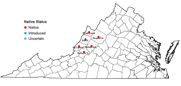 Locations ofClematis albicoma Wherry in Virginia