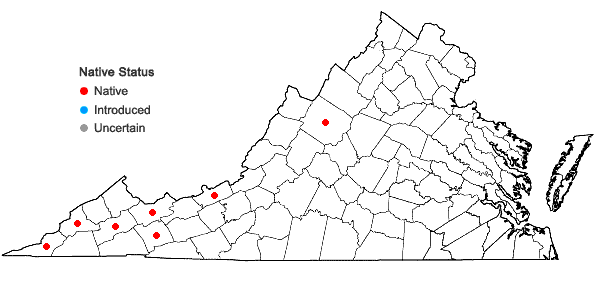 Locations ofClematis catesbyana Pursh in Virginia