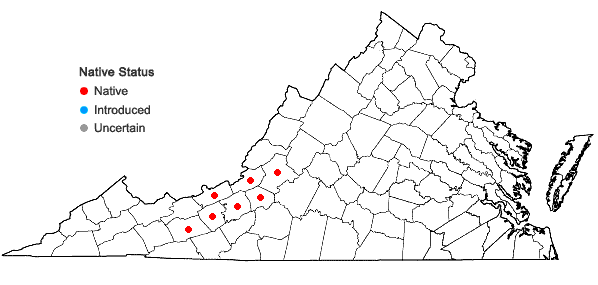 Locations ofClematis coactilis (Fern.) Keener in Virginia