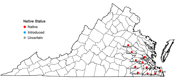Locations ofClematis crispa L. in Virginia