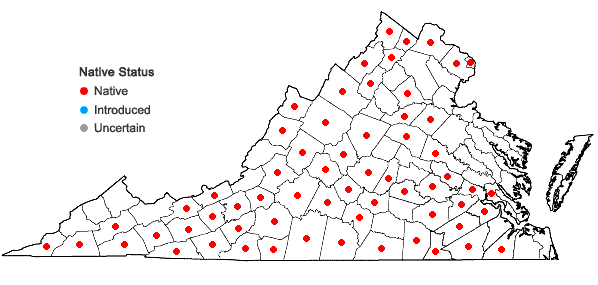 Locations ofClematis viorna L. in Virginia