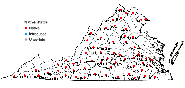 Locations ofClematis viorna L. in Virginia