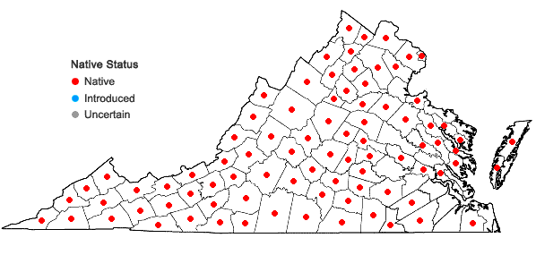 Locations ofClematis virginiana L. in Virginia