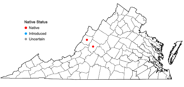 Locations ofClematis viticaulis Steele in Virginia