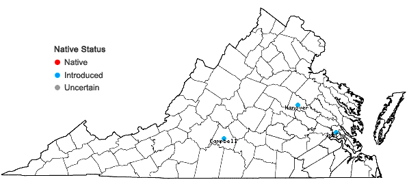 Locations ofClerodendrum trichotomum Thunb. in Virginia