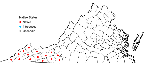 Locations ofClethra acuminata Michx. in Virginia