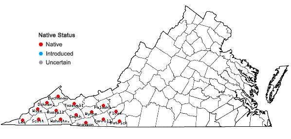 Locations ofClethra acuminata Michx. in Virginia