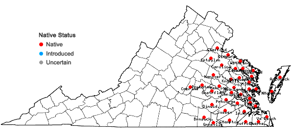 Locations ofClethra alnifolia L. in Virginia