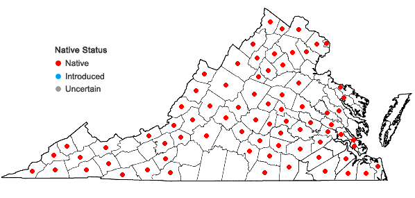 Locations ofClimacium americanum Bridel in Virginia