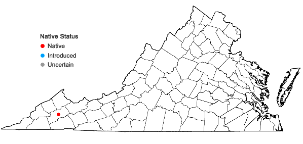 Locations ofClimacium dendroides (Hedw.) F. Weber & D. Mohr in Virginia