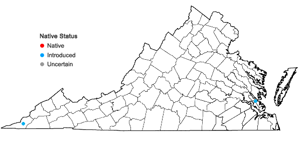 Locations ofClinopodium acinos (L.) Kuntze in Virginia