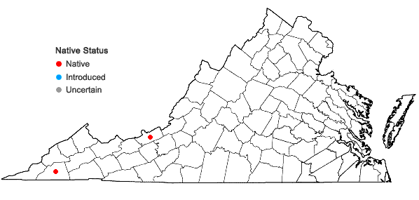 Locations ofClinopodium arkansanum (Nutt.) House in Virginia