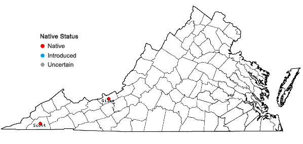 Locations ofClinopodium arkansanum (Nutt.) House in Virginia