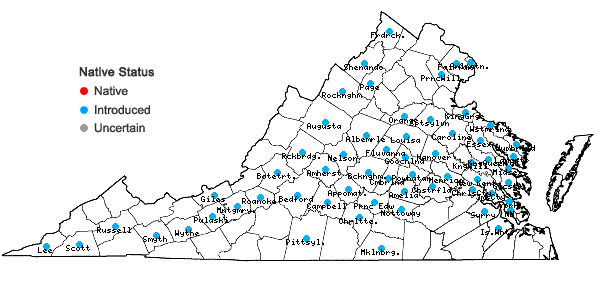 Locations ofClinopodium calamintha (L.) Stace in Virginia