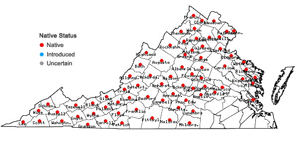 Locations ofClinopodium vulgare L. in Virginia