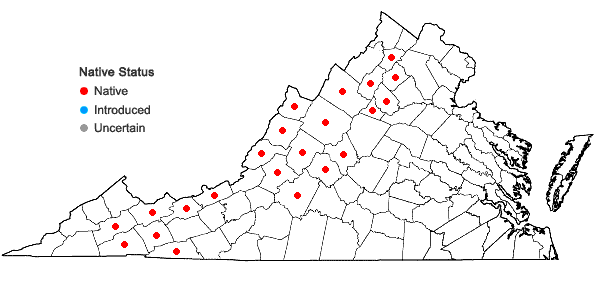 Locations ofClintonia borealis (Ait.) Raf. in Virginia