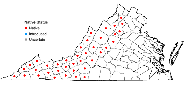Locations ofClintonia umbellulata (Michx.) Morong in Virginia