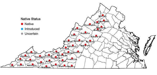 Locations ofClintonia umbellulata (Michx.) Morong in Virginia