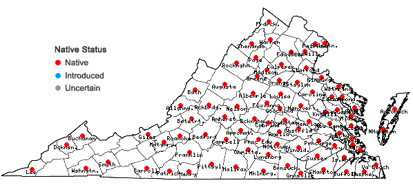 Locations ofClitoria mariana L. var. mariana in Virginia