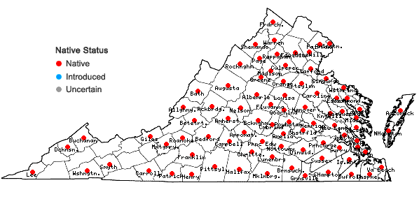 Locations ofClitoria mariana L. var. mariana in Virginia