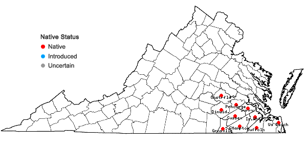 Locations ofCnidoscolus stimulosus (Michx.) Engelm. & Gray in Virginia