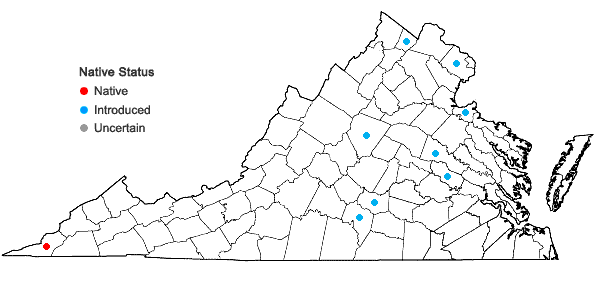 Locations ofCocculus carolinus (L.) DC in Virginia