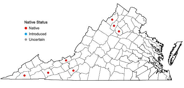Locations ofCodriophorus acicularis (Hedw.) P. Beauv. in Virginia