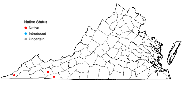 Locations ofCodriophorus aduncoides (Bednarek-Ochyra) Bednarek-Ochyra & Ochyra in Virginia