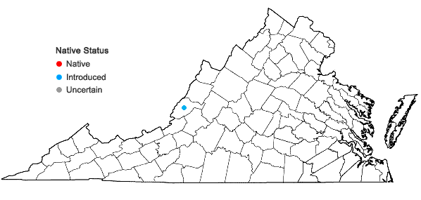 Locations ofCoincya monensis (L.) Greuter & Burdet ssp. recurvata (Allioni) Leadlay in Virginia