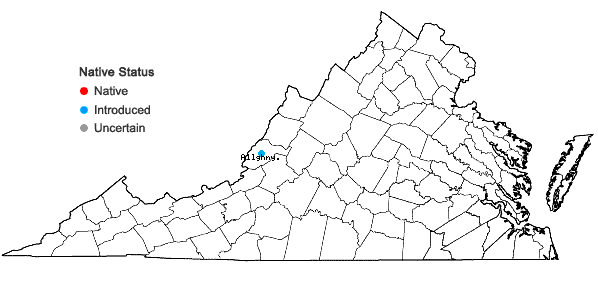 Locations ofCoincya monensis (L.) Greuter & Burdet ssp. recurvata (Allioni) Leadlay in Virginia