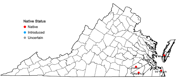 Locations ofColeataenia anceps (Michx.) Soreng ssp. rhizomatosa (Hitchcock & Chase) Soreng in Virginia