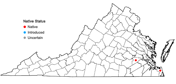 Locations ofColeataenia longifolia (Torrey) Soreng  ssp. combsii (Scribner & C.R. Ball) Soreng in Virginia