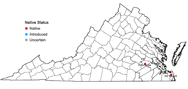 Locations ofColeataenia longifolia (Torrey) Soreng  ssp. combsii (Scribner & C.R. Ball) Soreng in Virginia
