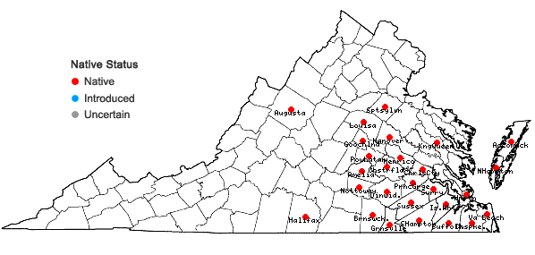 Locations ofColeataenia longifolia (Torrey) Soreng ssp. longifolia in Virginia