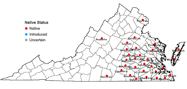 Locations ofColeataenia longifolia (Torrey) Soreng ssp. longifolia in Virginia