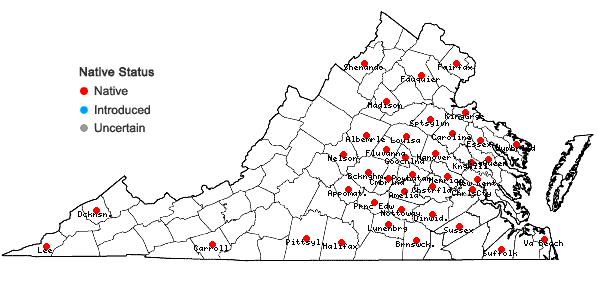 Locations ofColeataenia pulchra (F. Dietrich) Mabberley & LeBlond in Virginia