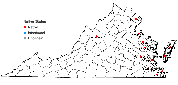 Locations ofColeataenia rigidula (Bosc ex Nees) LeBlond ssp. condensa (Nash) LeBlond in Virginia